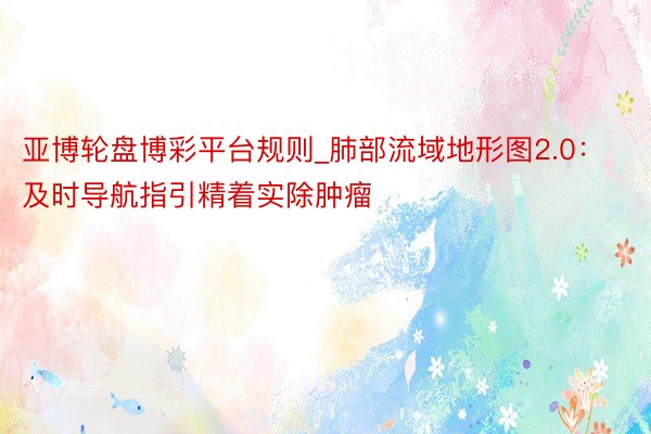 亚博轮盘博彩平台规则_肺部流域地形图2.0：及时导航指引精着实除肿瘤