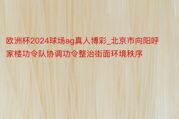 欧洲杯2024球场ag真人博彩_北京市向阳呼家楼功令队协调功令整治街面环境秩序